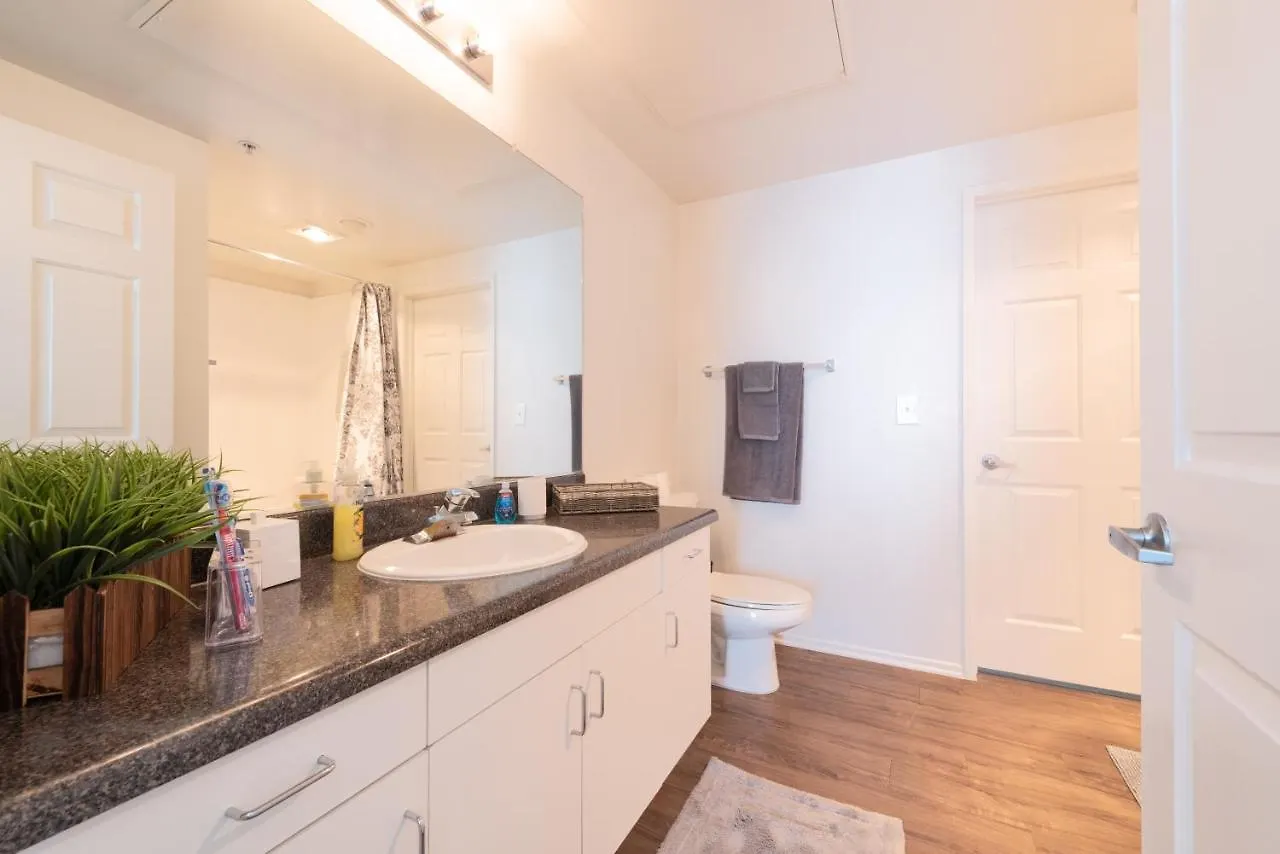 Elite 2Br Apartment At Venice Marina Del Rey W Pool Gym & Free Parking Los Angeles 0*,  United States